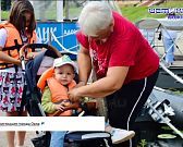 Лес «рогатин» Экспресс - новости. Лес «рогатин» Экспресс - новости.