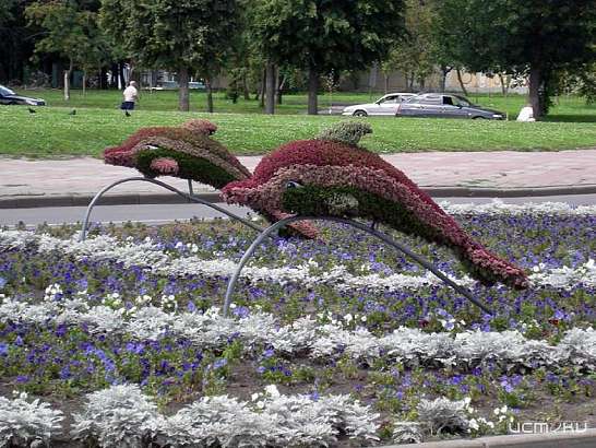 К 1 мая в Орле установят топиарные фигуры