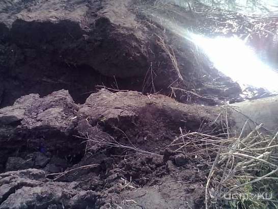 Опять весна Опять весна