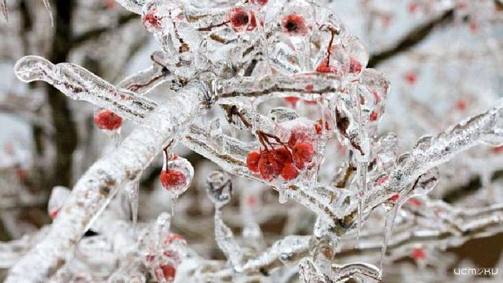 Метеопредупреждение: в ближайшие дни Орловщину накроет ледяной дождь