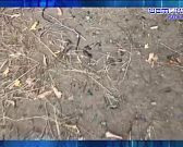 Тернистый путь к знаниям. Экспресс - новости.