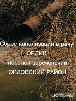 Определен новый народный корреспондент «Истоков»