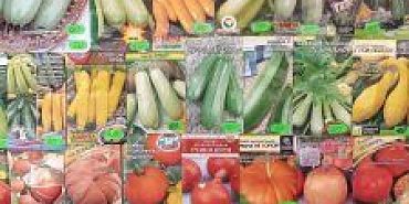 Орловский интернет-магазин торговал запрещенными семенами