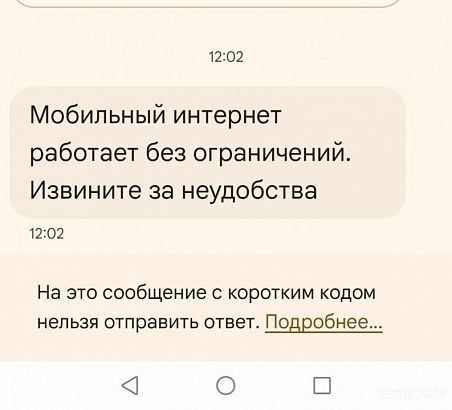 Орловчанам разослали сообщения об отмене ограничений мобильного интернета