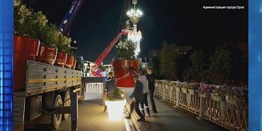 Центр города утопает в цветах Центр города утопает в цветах