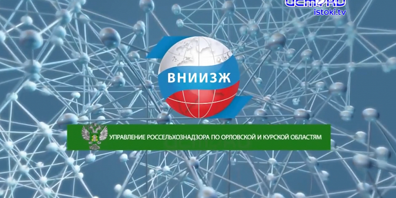 Экспертное мнение 27.08.2025