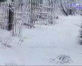 Орловские ориентировщики устроили погоню за призом от Деда Мороза