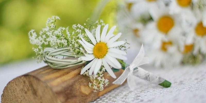 В орловском УФСИН отпраздновали День семьи, любви и верности