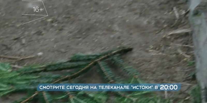 Остросюжетная драма «Кадет» — после вечерних новостей