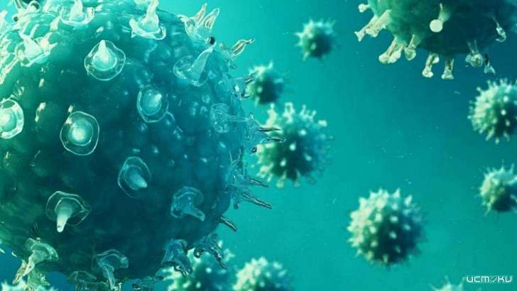 Орловщина — антилидер Черноземья по числу заболевших COVID-19 на 100 тыс. человек