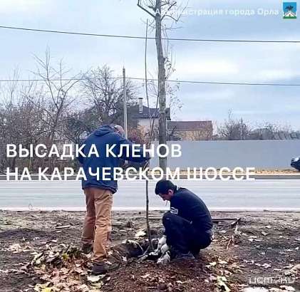 В Орле продолжается озеленение улиц