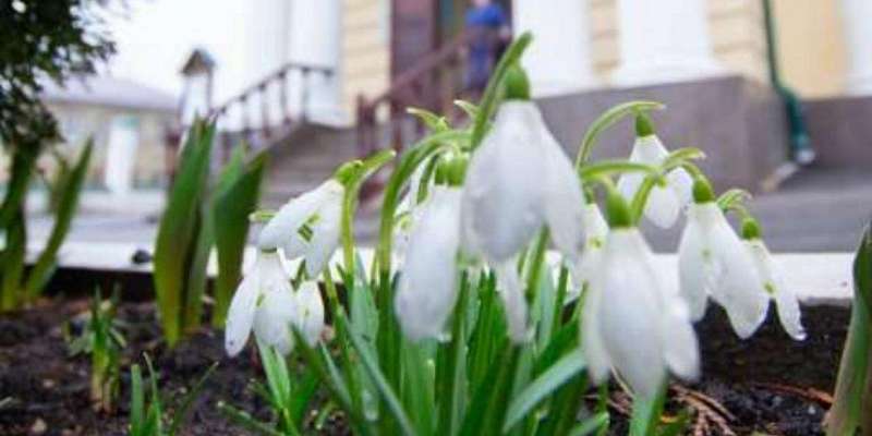 Орловские верующие 8 марта отпраздновали первую седьмицу Великого поста