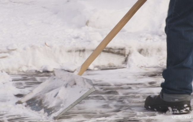 Стало известно сколько получает дворник в Орле