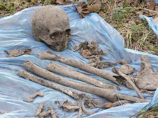 В Знаменском районе поисковики нашли останки 30 бойцов Красной Армии