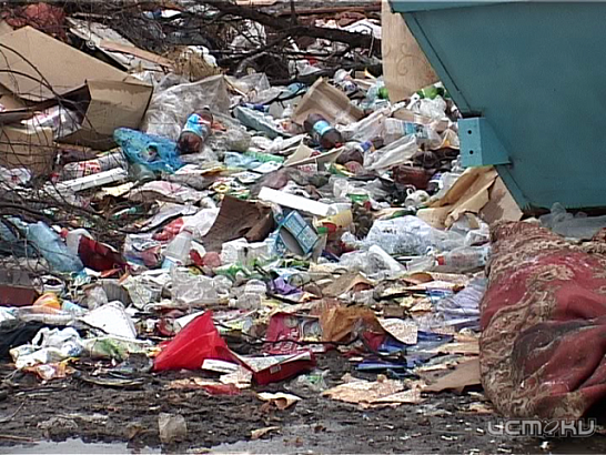 Новости за 90 секунд: в пруду утонул рыбак, по области пройдут "мусорные рейды", а городские библиотеки и университеты получат книги известной современной писательницы