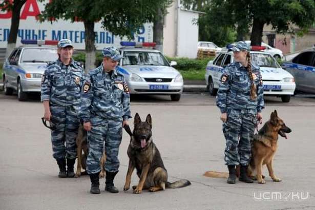 Сегодня — день кинологов. В Орле эта служба существует 74 года