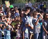 В Орле прошел арт-моб «Оберег града крылатого»