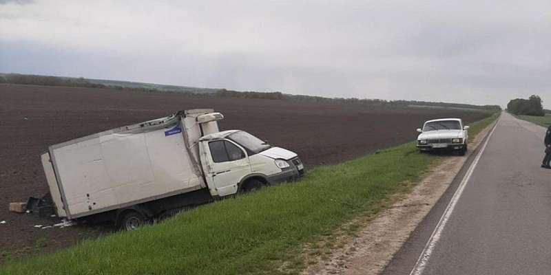 «Газель» в кювете: в ДТП на Орловщине пострадали водитель авто и подросток