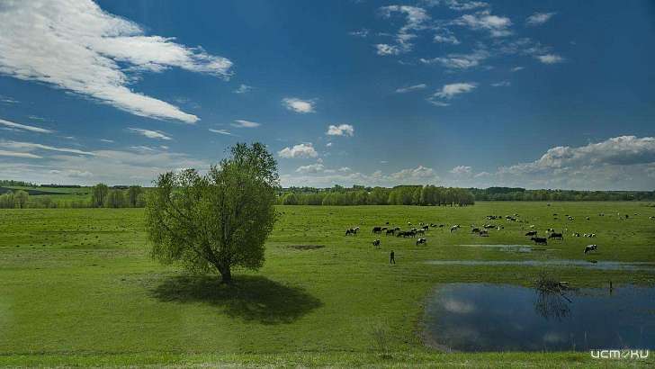 «Россия. Полёт через века»: в Орле начала работу новая фотовыставка