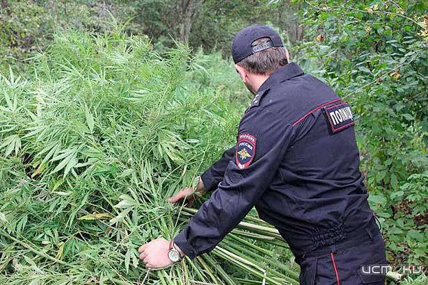 На Орловщине из незаконного оборота изъяли 11 кг наркотиков