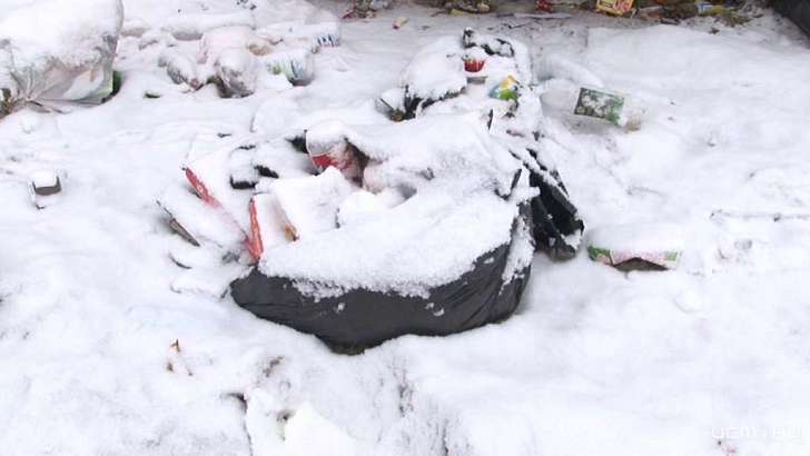 В Орловской области селянам разрешили не оплачивать квитанции, если мусор не вывозят 