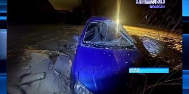 Дайджест 14.12.2024