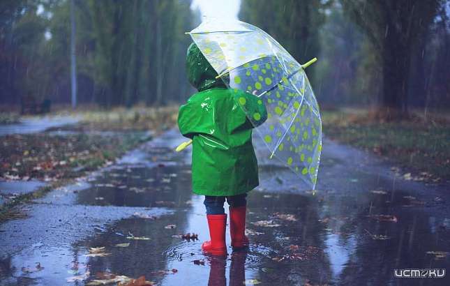 День Победы в Орле будет дождливым