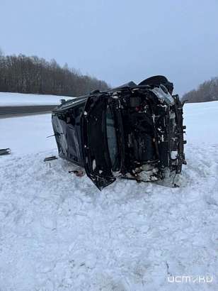 Под Орлом "Мицубиси" влетел во встречный тягач "ДАФ"