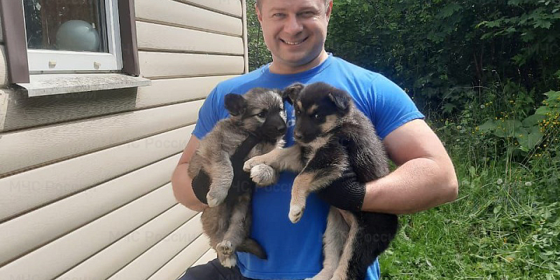 спасатели животные Орловские спасатели пришли на помощь пушистым малышам