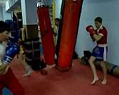 Орловские кикбоксёры вернулись с медалями Кубка мира