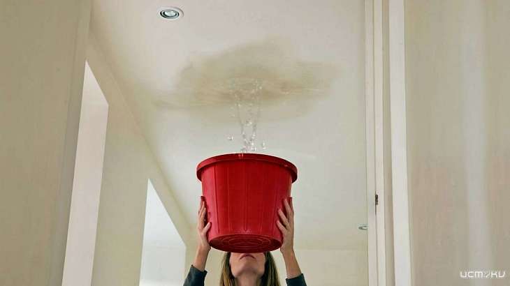 Жителям Орловской области напомнили алгоритм действий при протекающей крыше