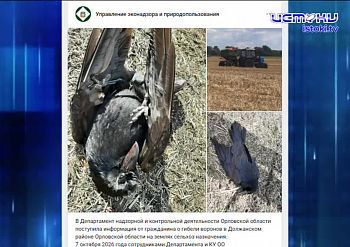 Экспресс - новости. Стройка Западного обхода