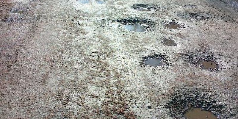 "Наша улица не статусная". Жители Выгонки в Орле присылают фотографии своей дороги.