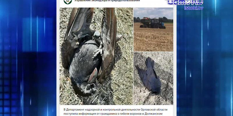 Экспресс - новости. Стройка Западного обхода