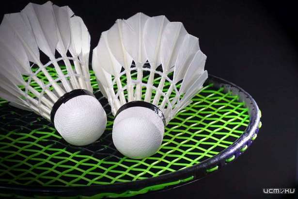 В Орле пройдет открытый Кубок Орловской области по бадминтону