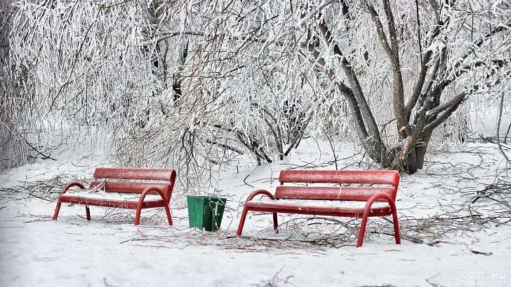 До конца года в общественных местах Орла установят 200 новых урн