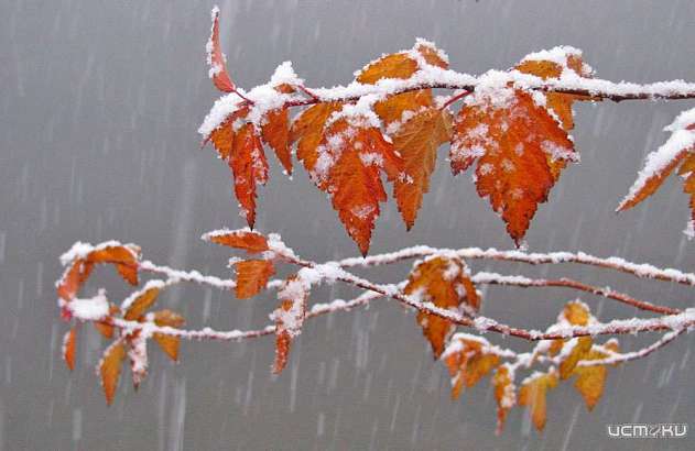 На орловских дорогах в ближайшие дни возможна гололедица