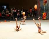 В Орле проходит турнир по художественной гимнастике «Amadeuscup»