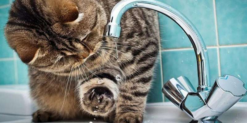 В мае орловчан не оставят без воды