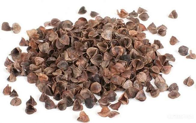 Из Орловщины в Китай экспортировали 3,4 тонны гречневой лузги Из Орловщины в Китай экспортировали 3,4 тонны гречневой лузги