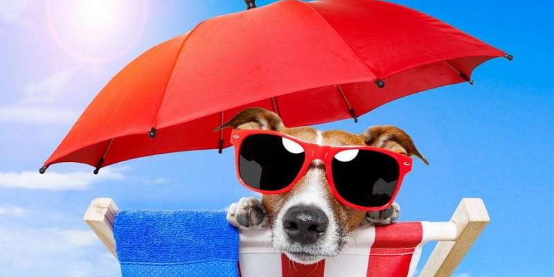 35—37 °C: завтра в Орловской области жара ударит с новой силой 