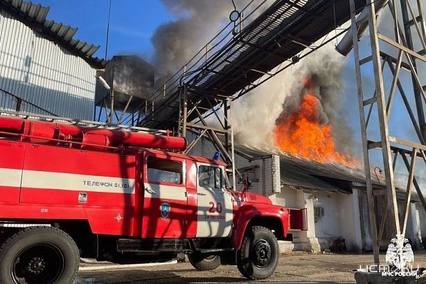 Масштабные пожары и спасенный кот 