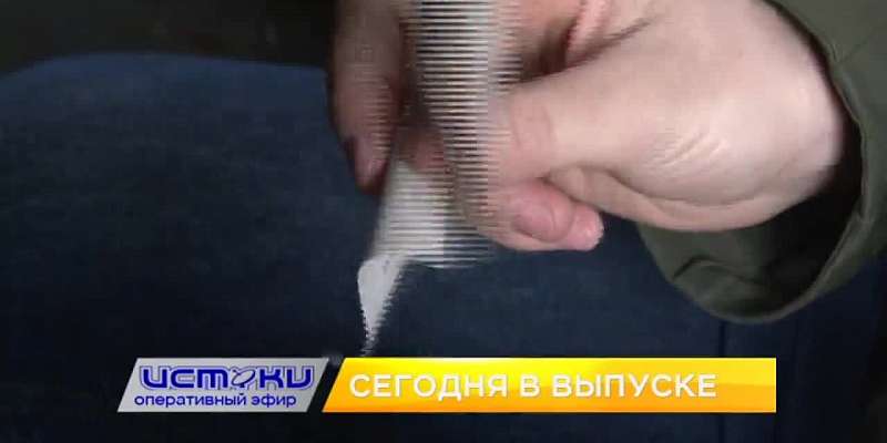 Сегодня в 7 вечера смотрите свежий выпуск программы «Оперативный эфир» на нашем канале