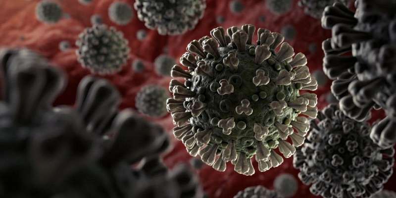 Почти у 1000 орловчан выработался иммунитет к коронавирусу