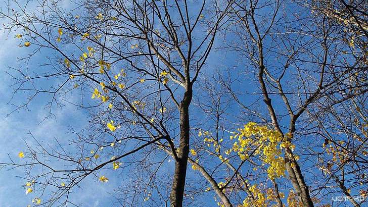 Погода в Орле на сегодня