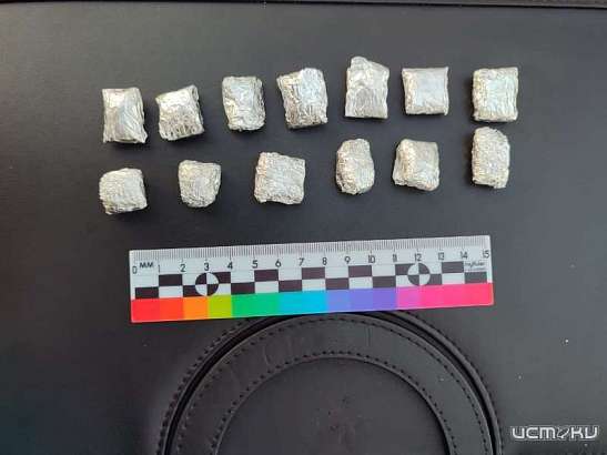 Орловские полицейские задержали подозреваемого в покушении на сбыт крупной партии наркотиков