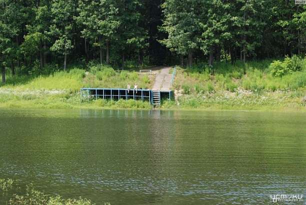 Спор о сдаче в аренду земельных участков с прудом "Дубравы" дошёл до кассационного суда
