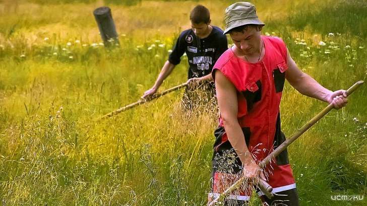 В Орле набирают косарей на летние работы