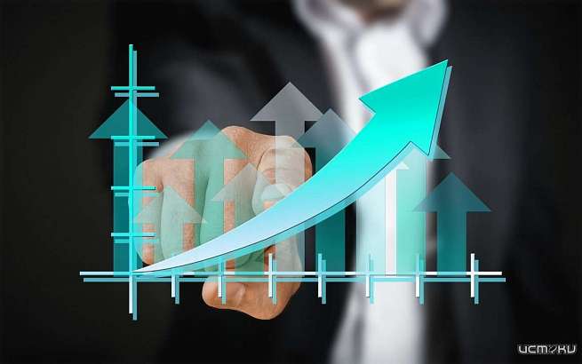 225 QR-оценок получили налоговики города Орла