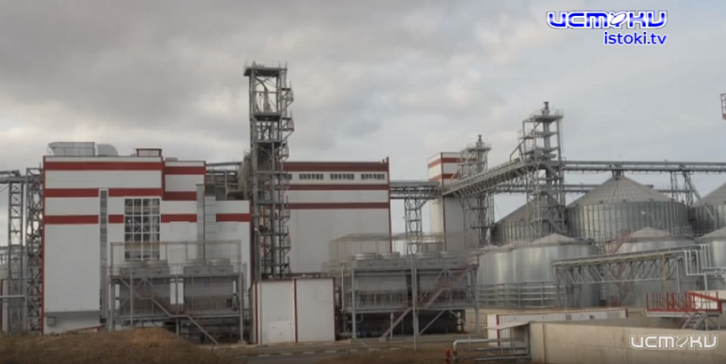 Какая продукция орловских аграриев востребована на мировых рынках?